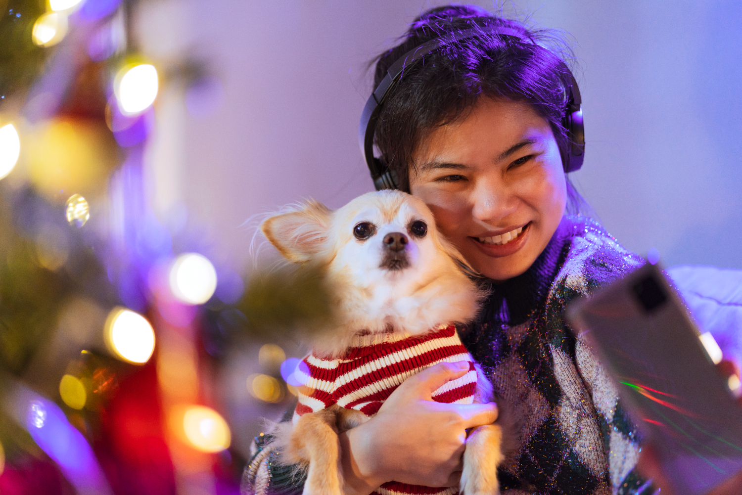 New year Celebration with Pets