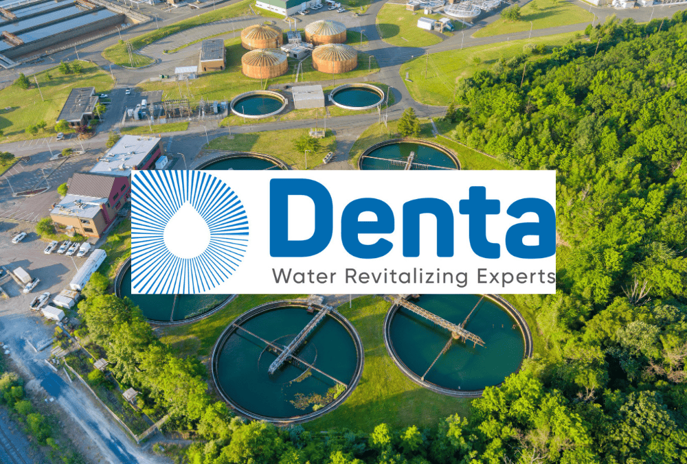 Promising Denta Water and Infra IPO 2025: Key Details for Smart Investors 2 Denta Water and infra IPO