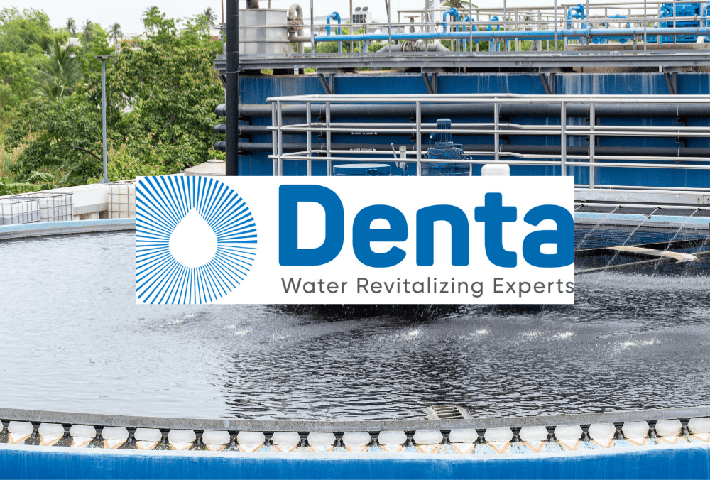 Denta Water and infra IPO