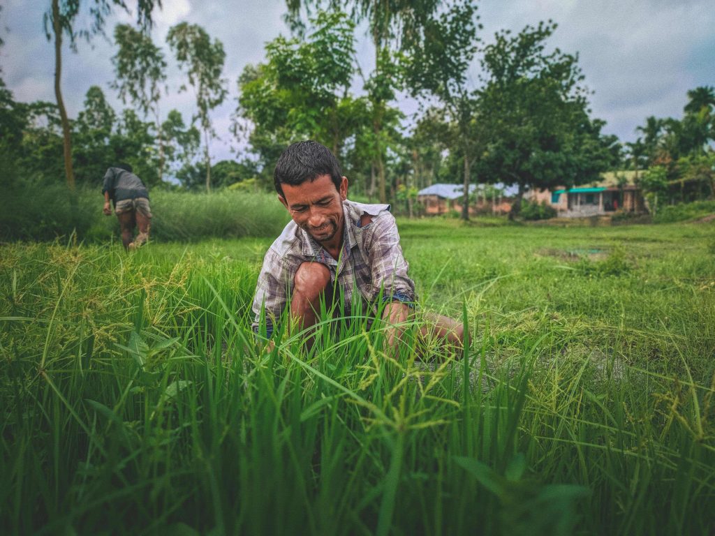 Exciting Updates on PM Kisan Yojana 19th Installment: Benefits and How to Claim 2 PM Kisan Yojana 19th Installment