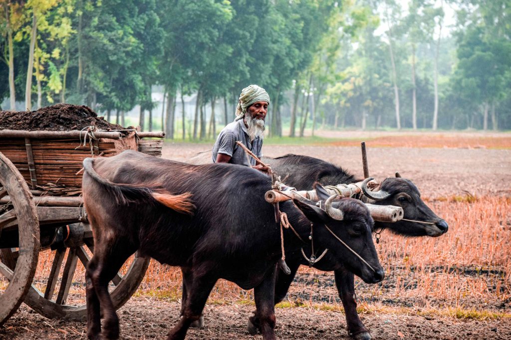 Exciting Updates on PM Kisan Yojana 19th Installment: Benefits and How to Claim 3 PM Kisan Yojana 19th Installment